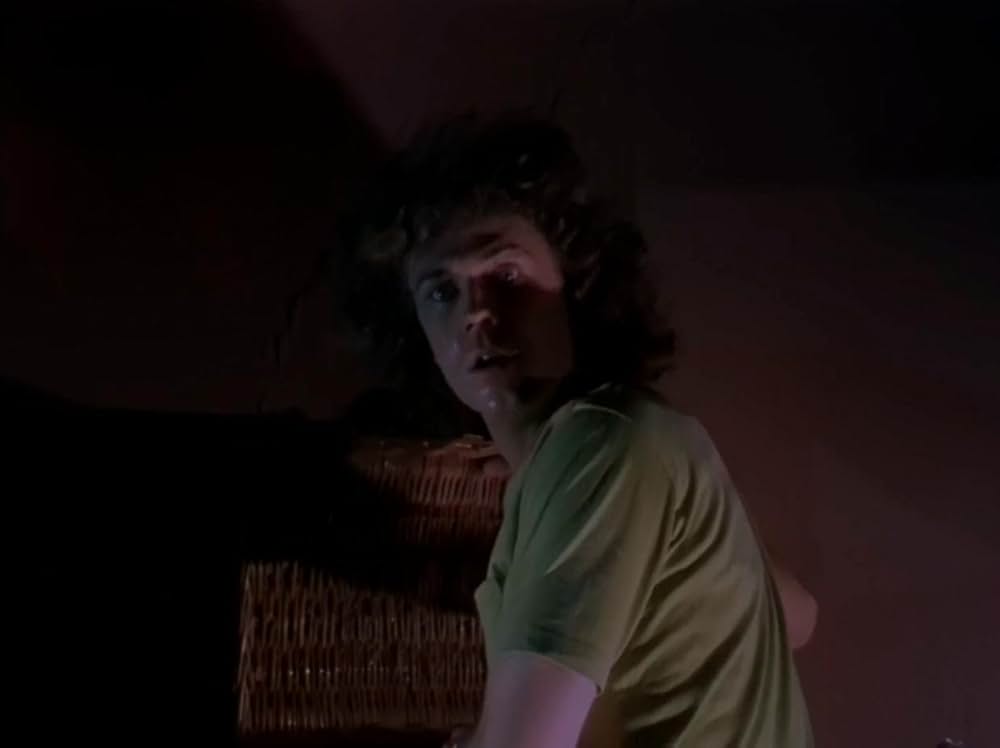 バスケット・ケースの画像