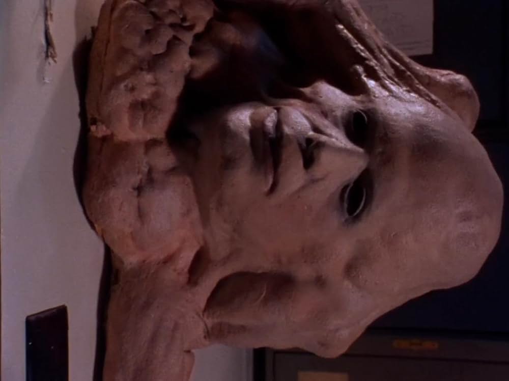 バスケット・ケースの画像