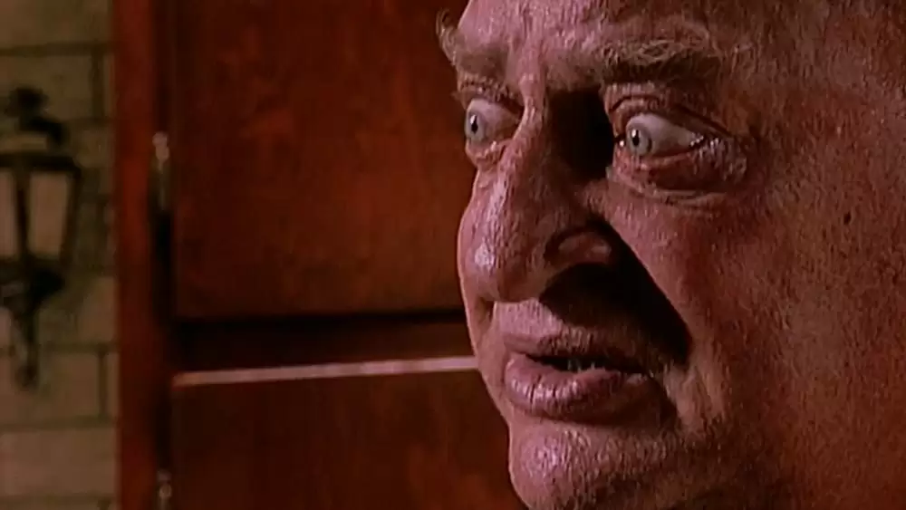 ナチュラル・ボーン・キラーズの画像