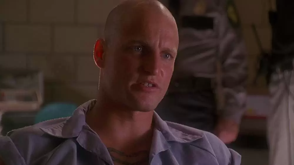 ナチュラル・ボーン・キラーズの画像