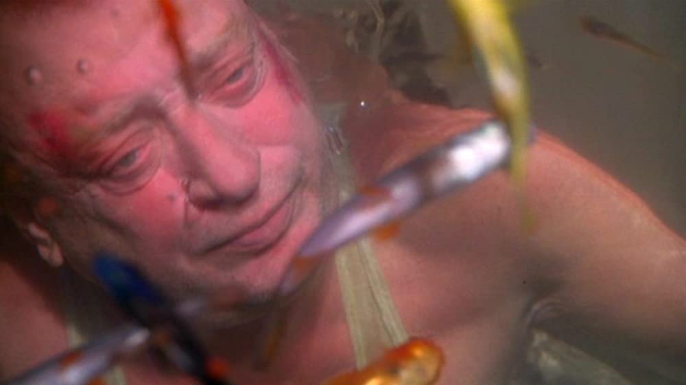 ナチュラル・ボーン・キラーズの画像