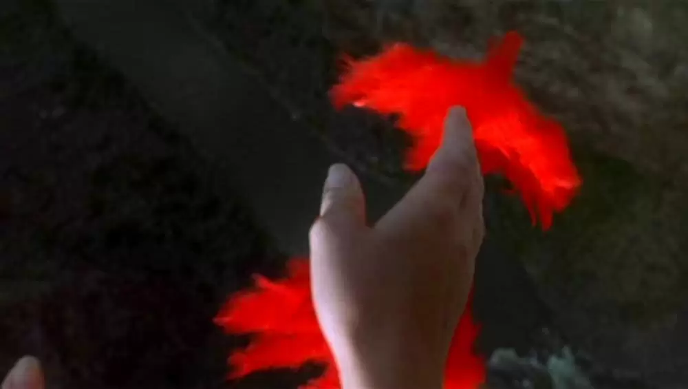 ナチュラル・ボーン・キラーズの画像