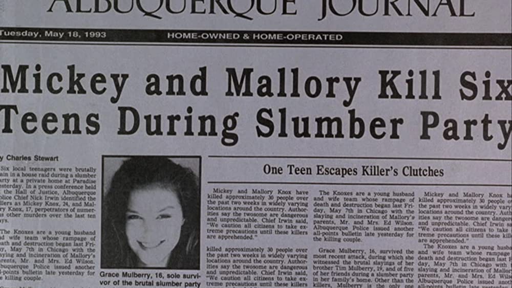 ナチュラル・ボーン・キラーズの画像