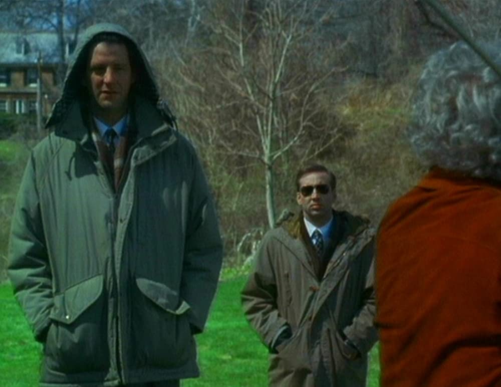 不機嫌な赤いバラの画像