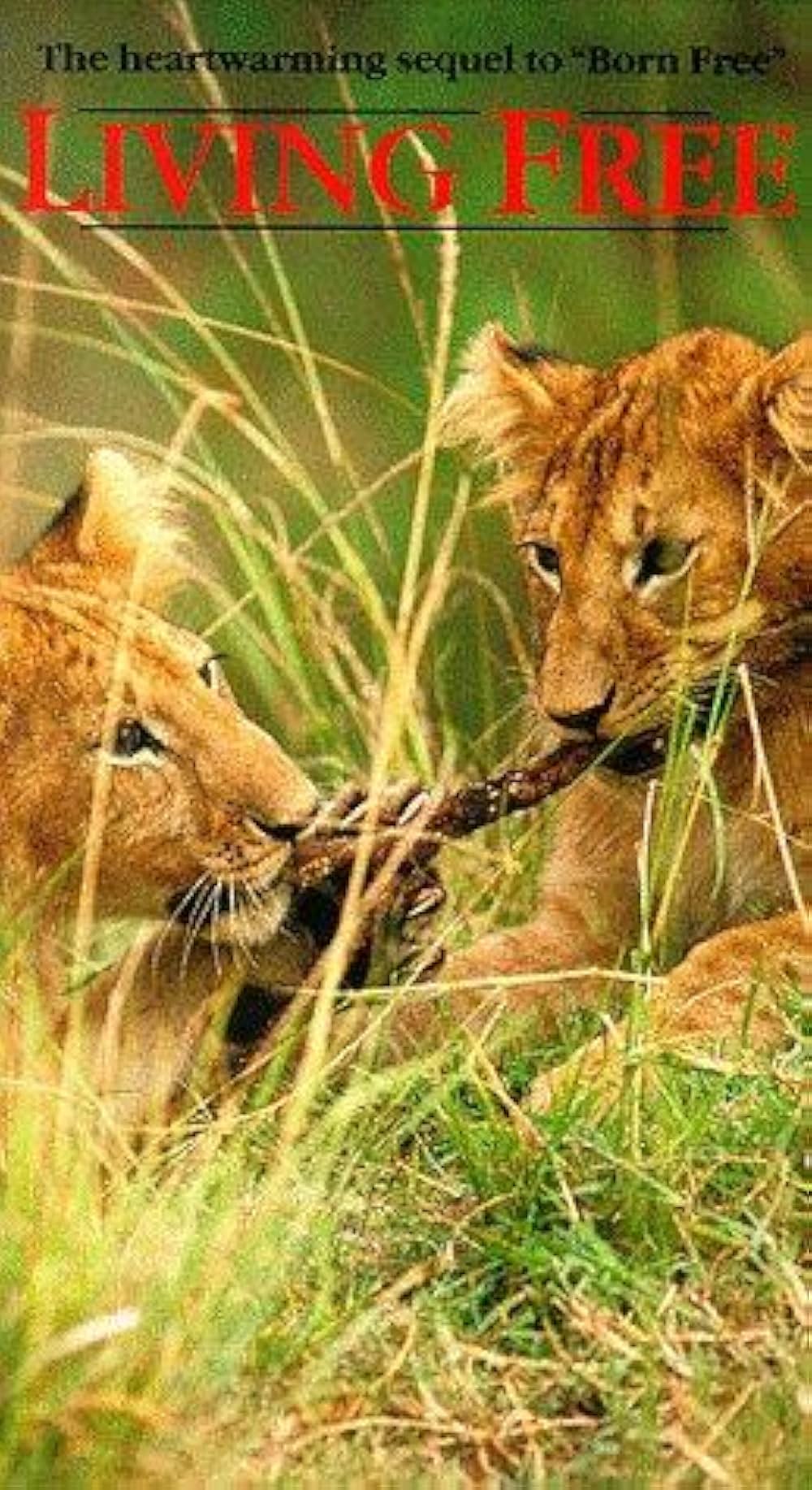 永遠のエルザの画像