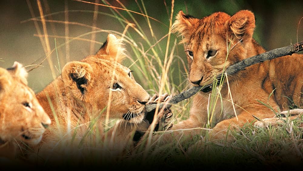 永遠のエルザの画像