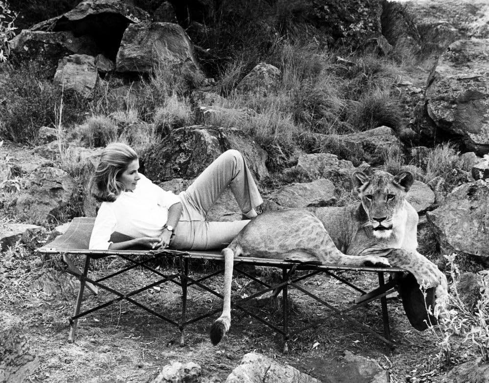 永遠のエルザの画像