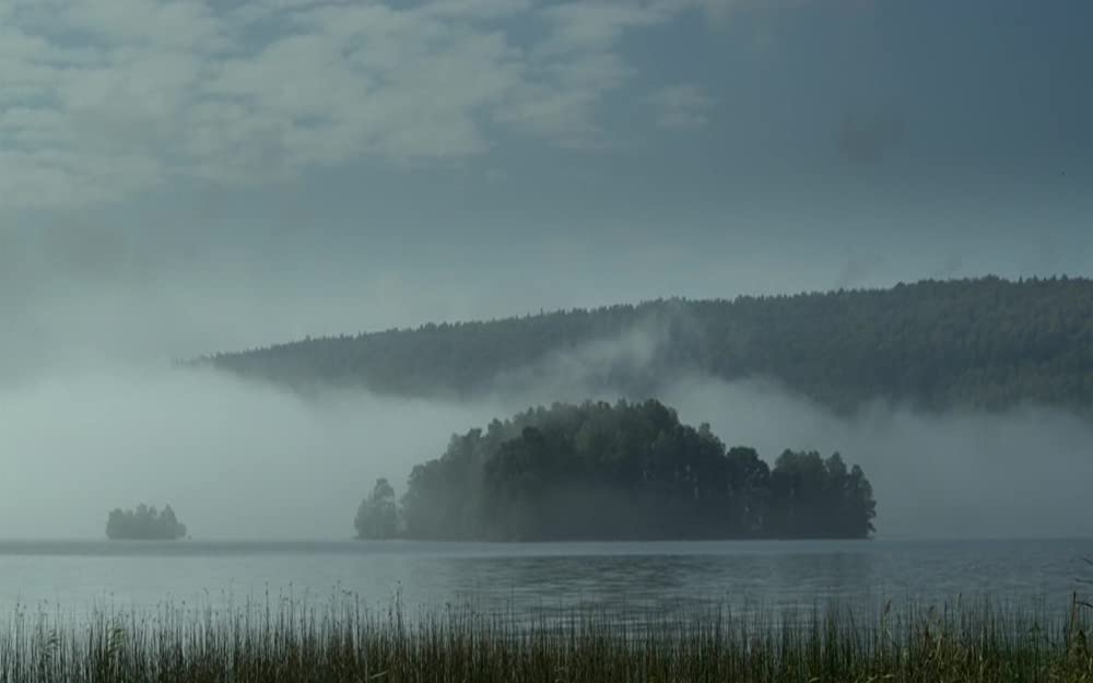 マザーズの画像