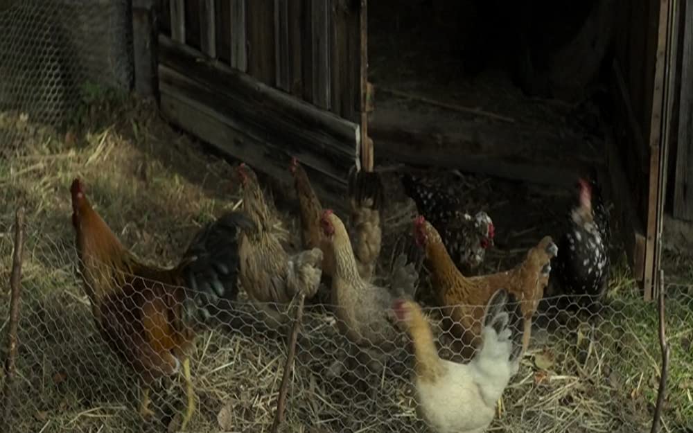 マザーズの画像