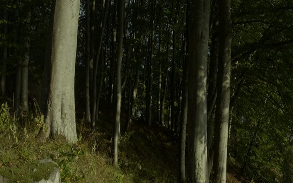 マザーズの画像