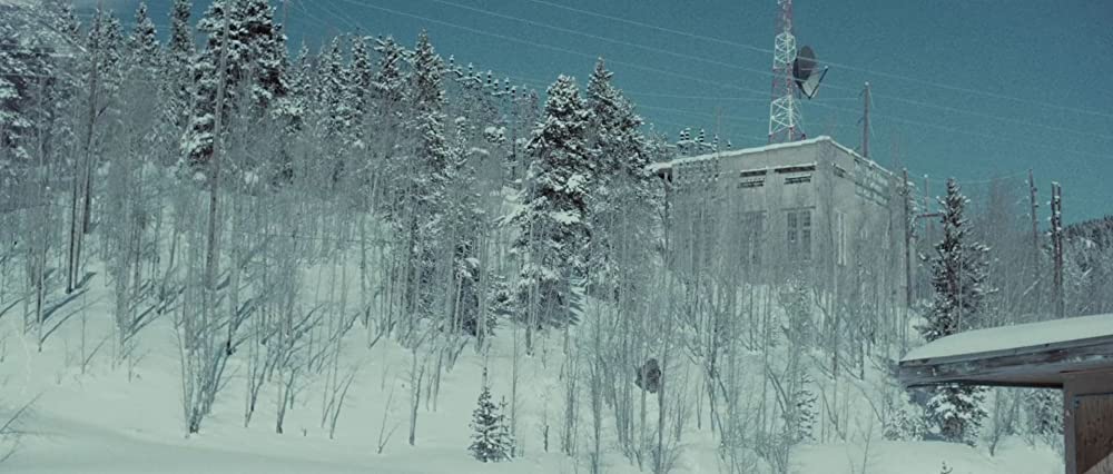 スターフィッシュの画像