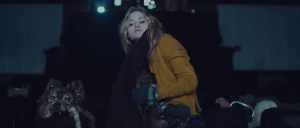 スターフィッシュの画像