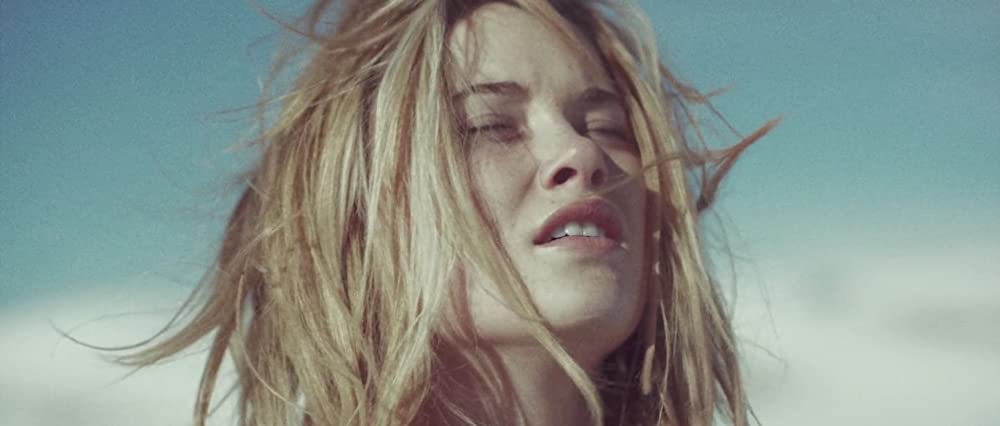 スターフィッシュの画像