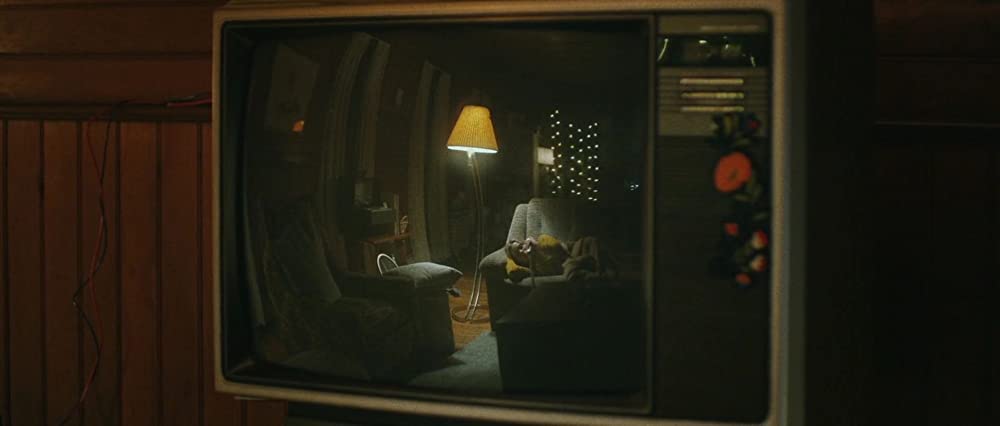 スターフィッシュの画像