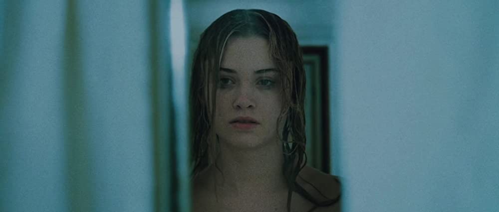 スターフィッシュの画像