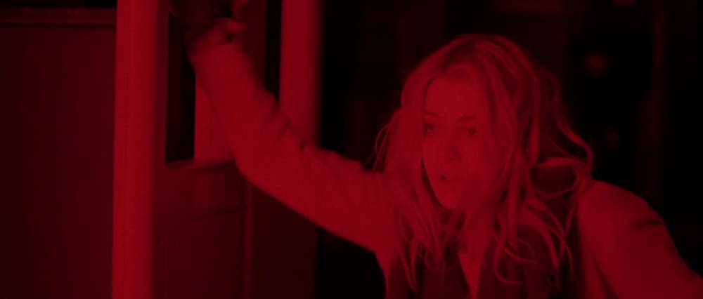 スターフィッシュの画像