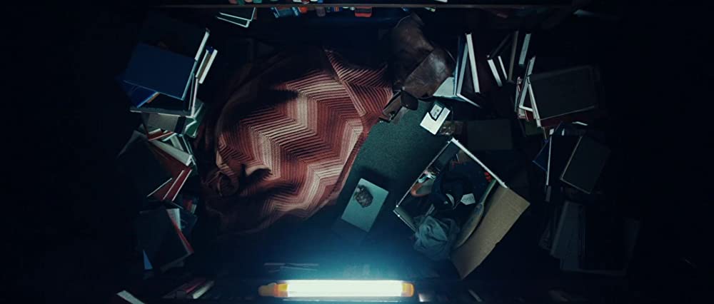 スターフィッシュの画像