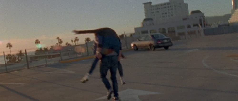 スターフィッシュの画像