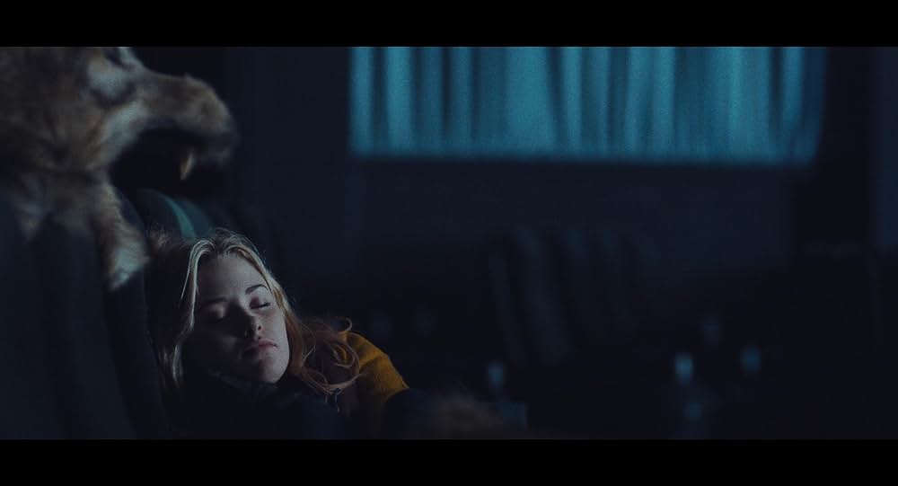 スターフィッシュの画像