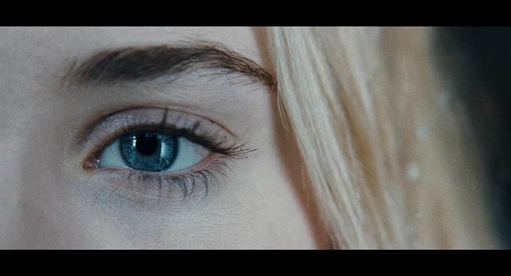 スターフィッシュの画像