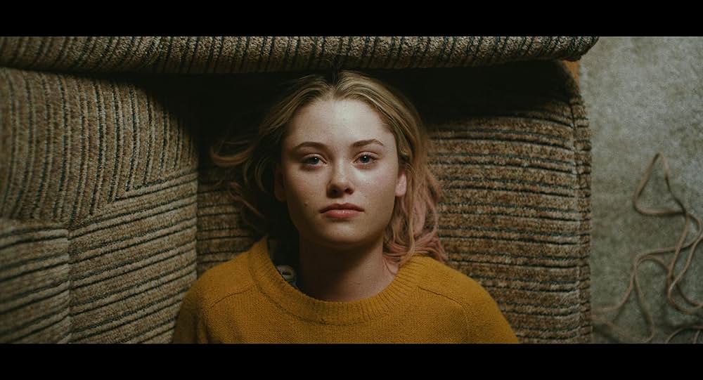 スターフィッシュの画像