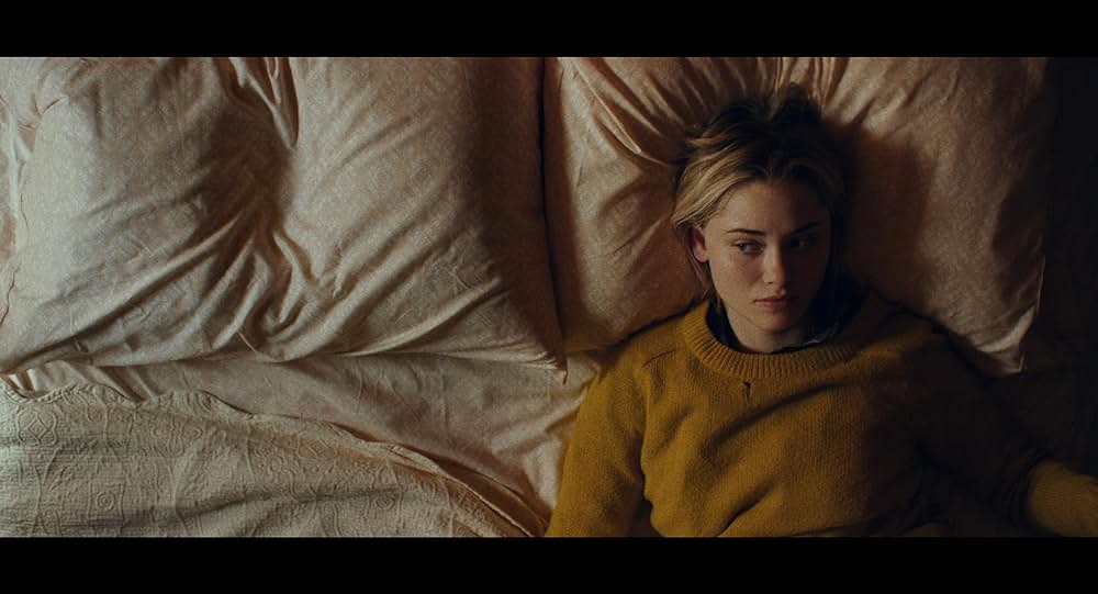 スターフィッシュの画像