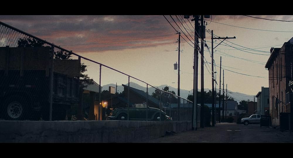 スターフィッシュの画像