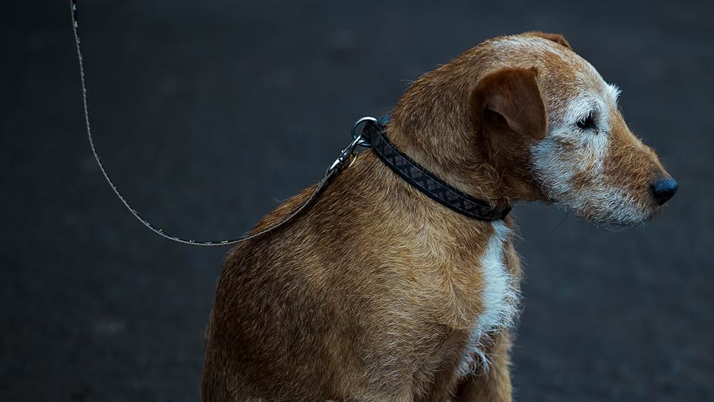 ドント・ストップの画像