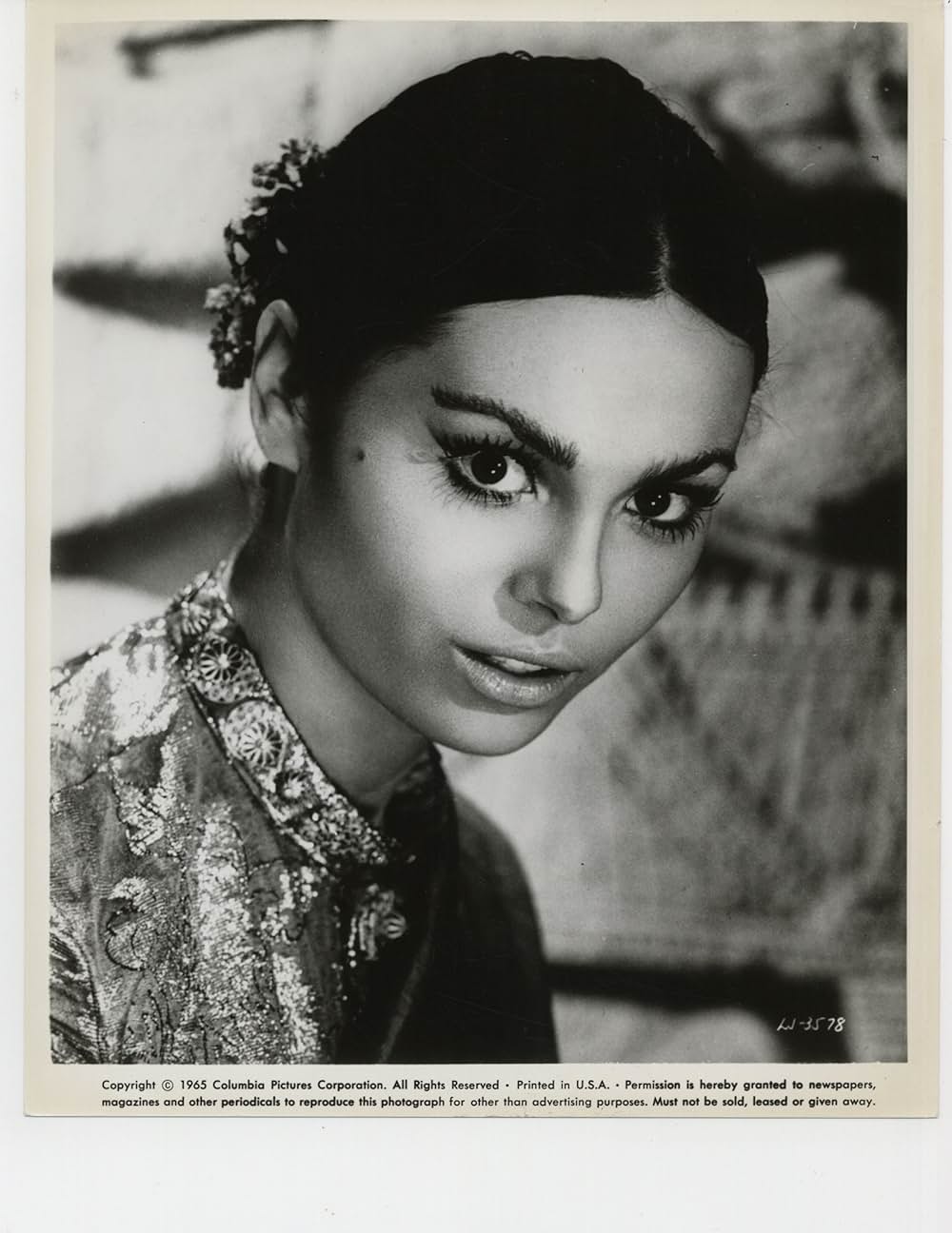 ロード・ジムの画像