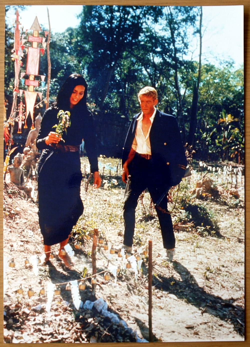 ロード・ジムの画像