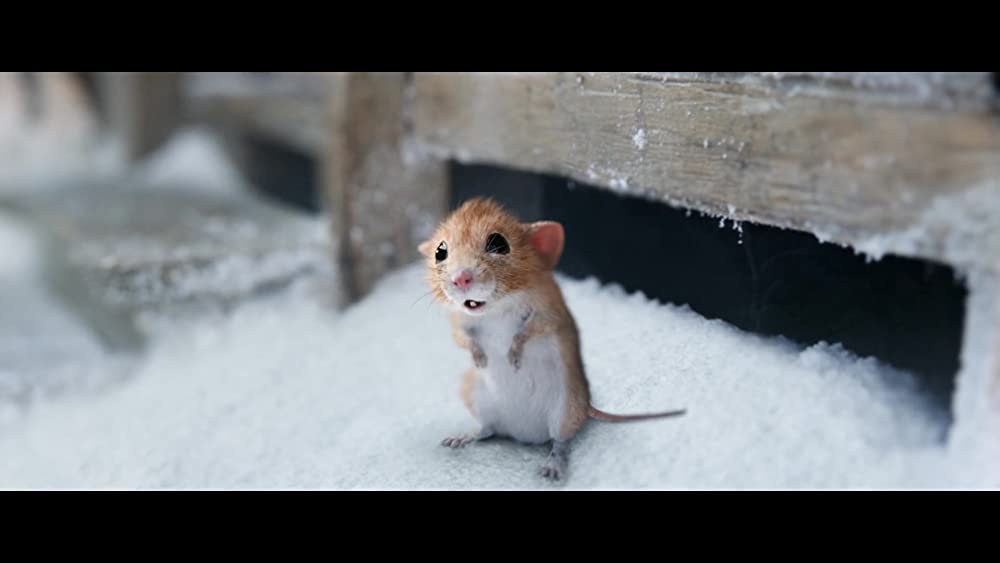 クリスマスとよばれた男の子の画像