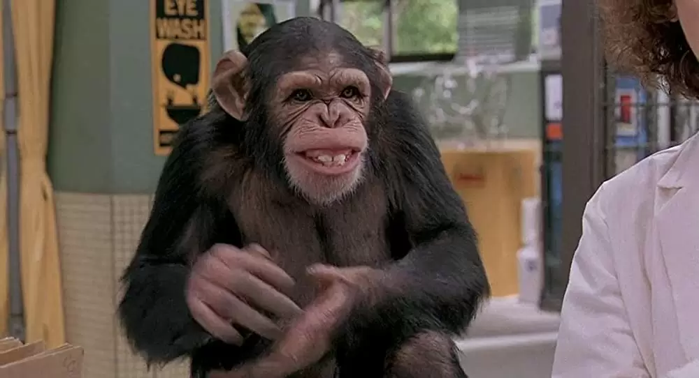 ジュニアの画像