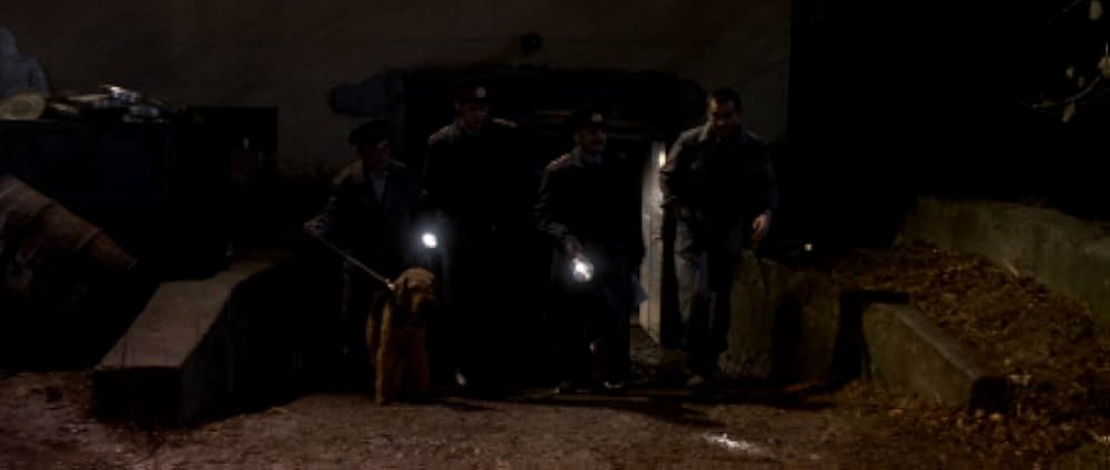 ミュート・ウィットネスの画像