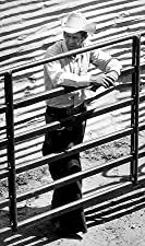 「ジュニア・ボナー／華麗なる挑戦」スティーブ・マックィーンの画像