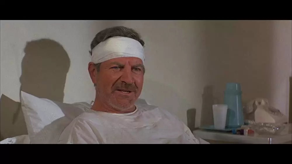 「ジュニア・ボナー／華麗なる挑戦」ロバート・プレストンの画像