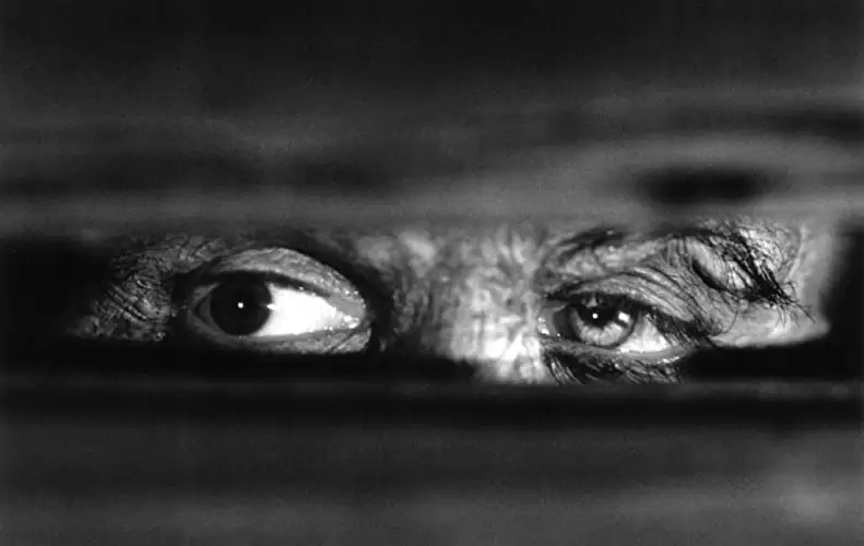 フランケンシュタインの画像