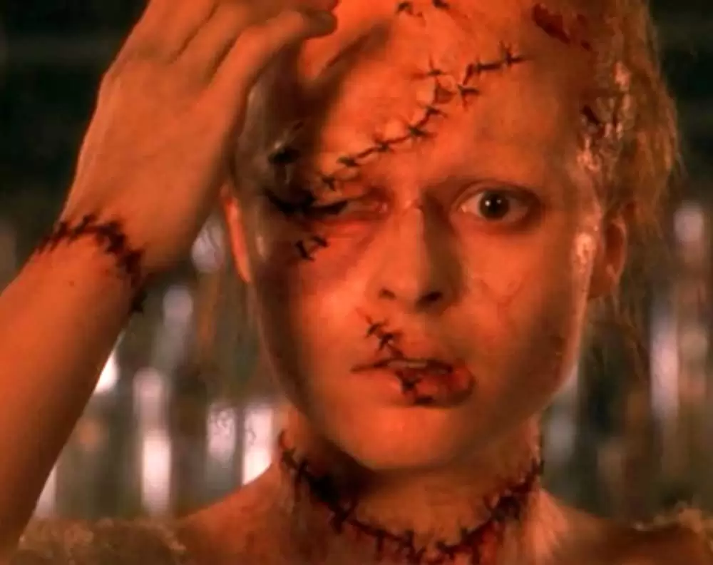 フランケンシュタインの画像