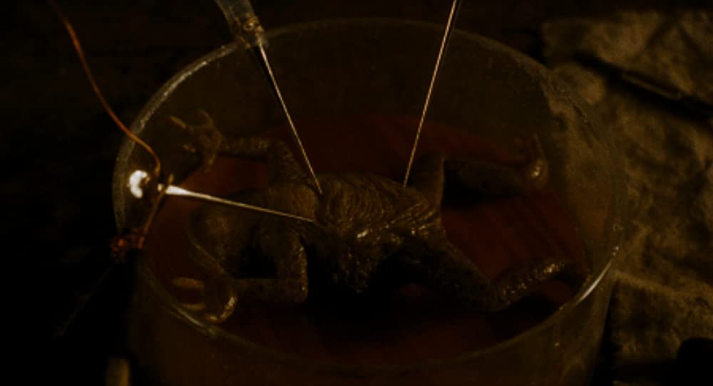 フランケンシュタインの画像