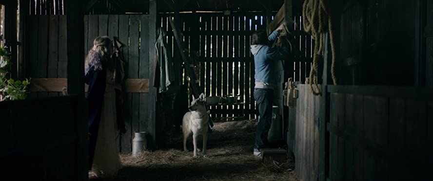 カラー・アウト・オブ・スペース 遭遇の画像