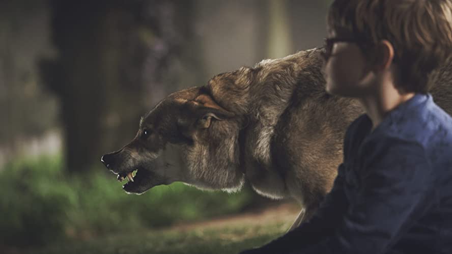 カラー・アウト・オブ・スペース 遭遇の画像