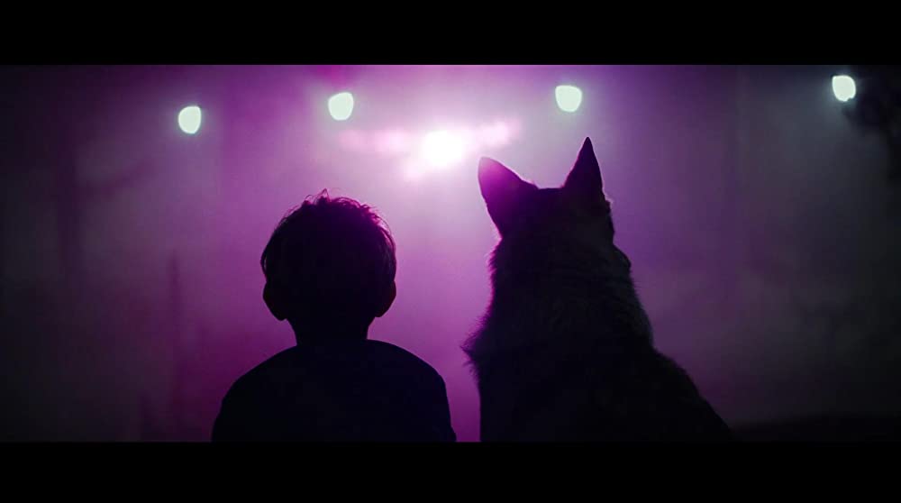 カラー・アウト・オブ・スペース 遭遇の画像