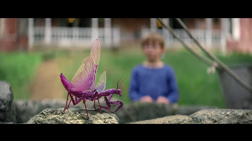 カラー・アウト・オブ・スペース 遭遇の画像