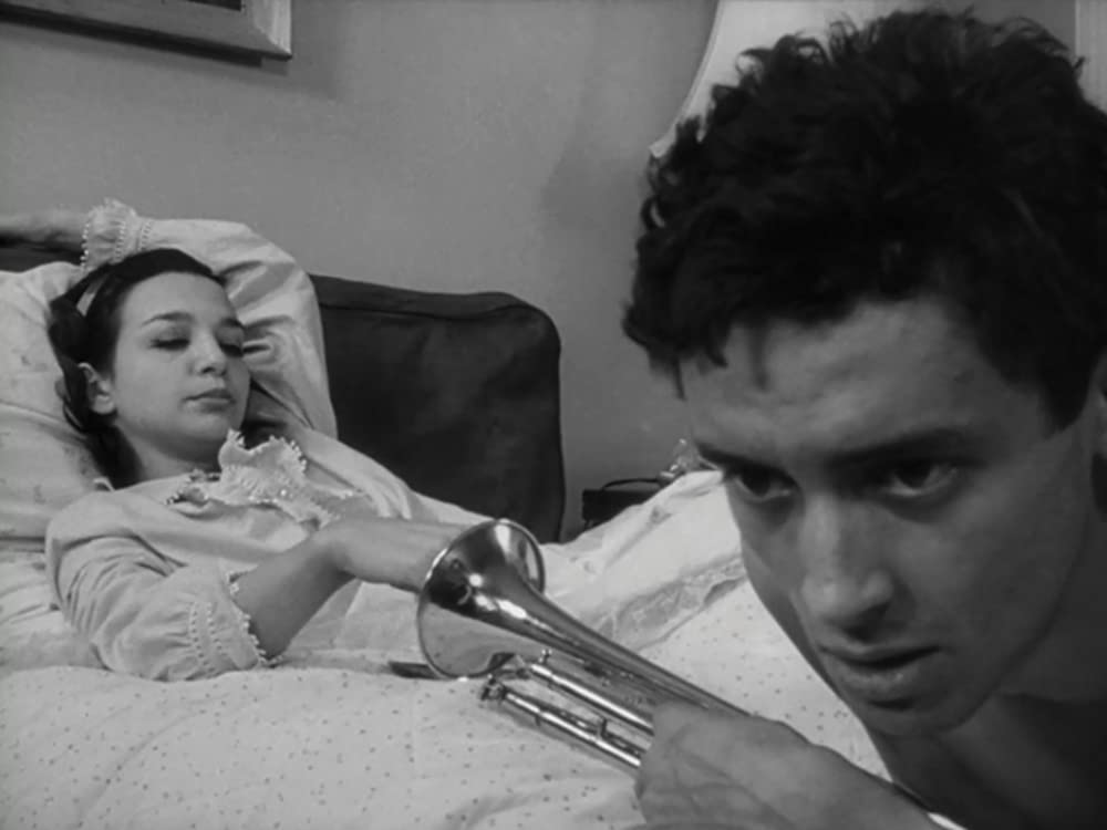 アメリカの影の画像