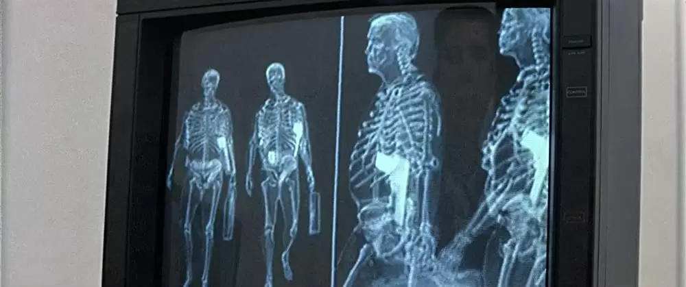 「トゥルーライズ」アーノルド・シュワルツェネッガー & トム・アーノルドの画像