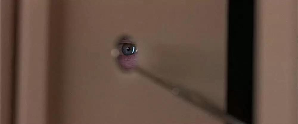 トゥルーライズの画像