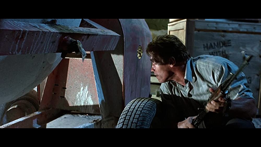 トゥルーライズの画像