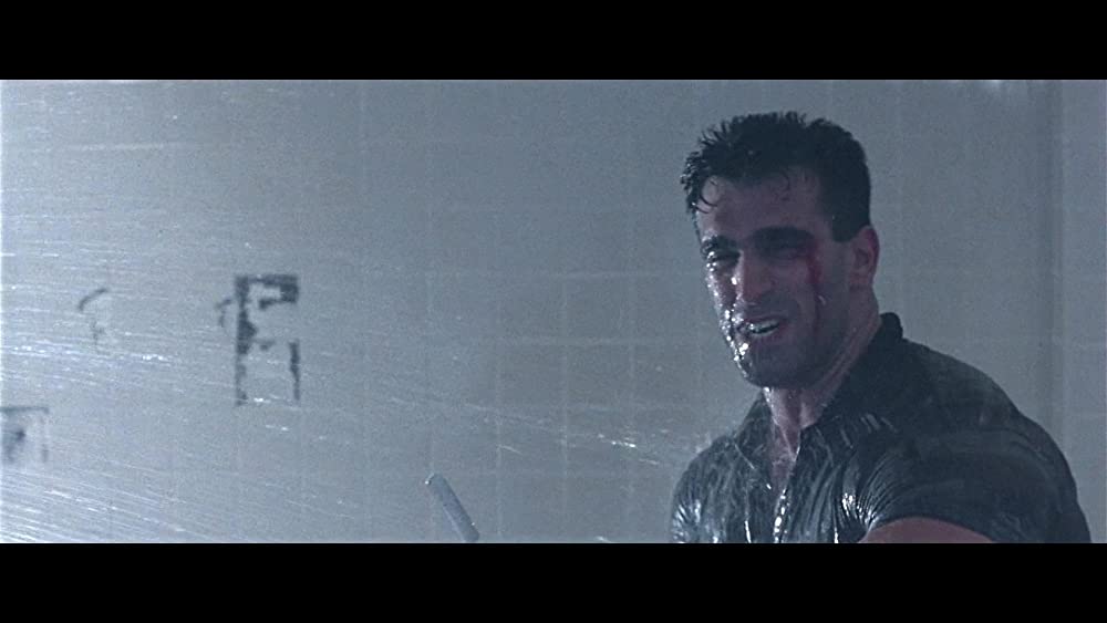 トゥルーライズの画像