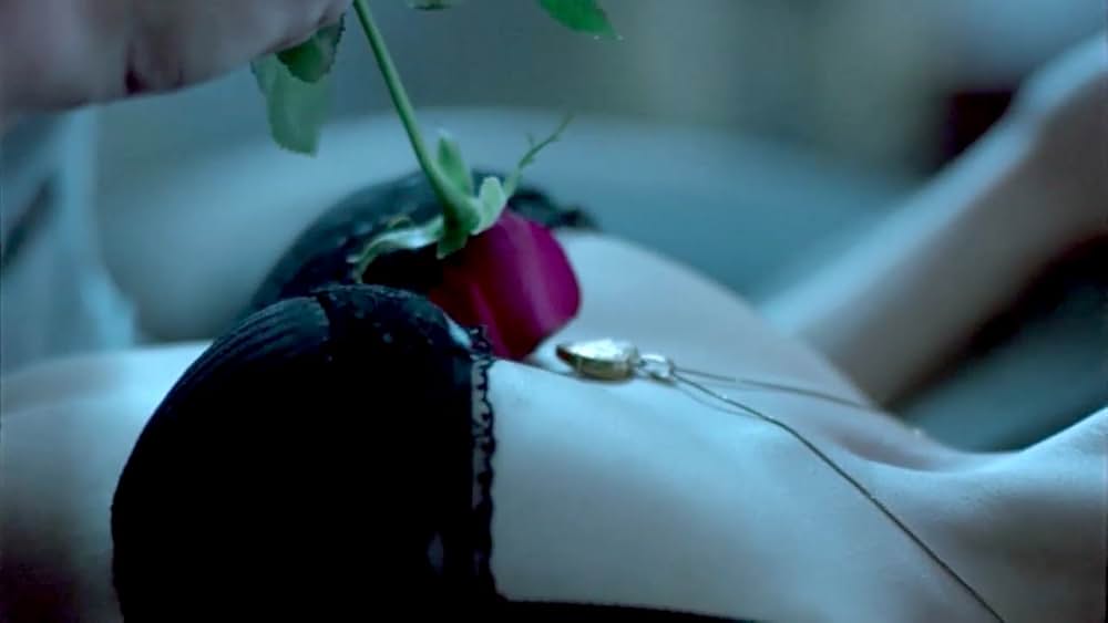 トゥルーライズの画像