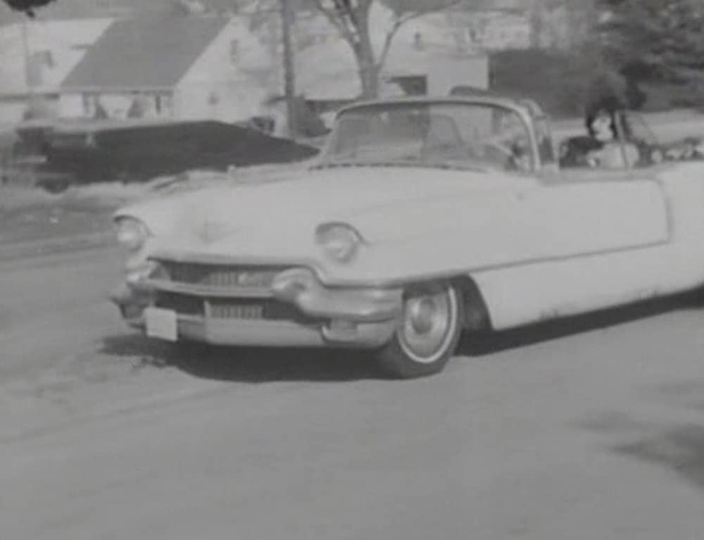 マルチプル・マニアックスの画像