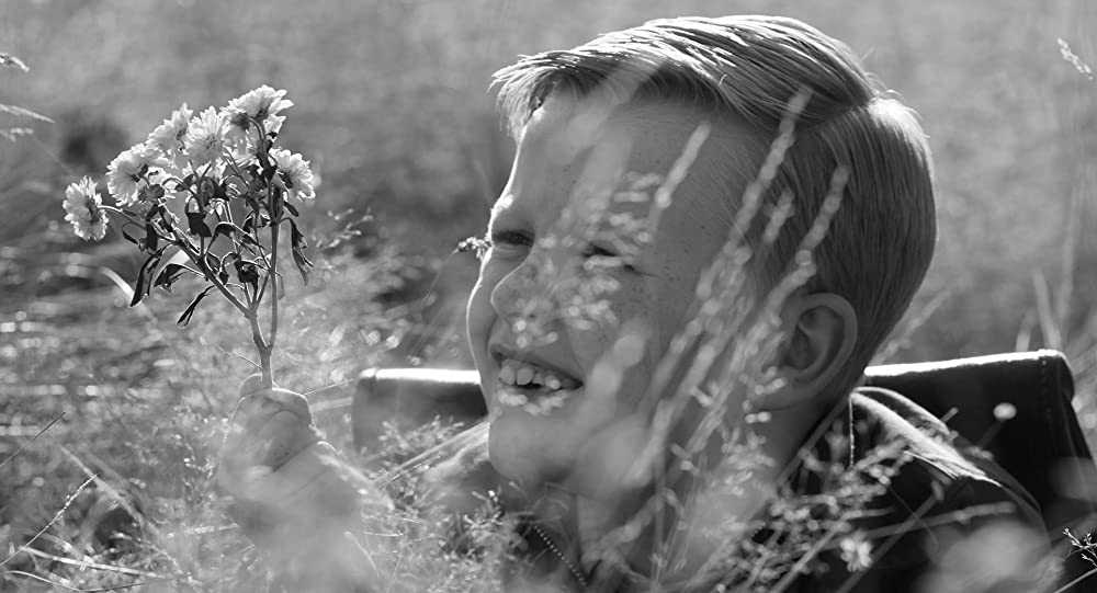 ベルファストの画像